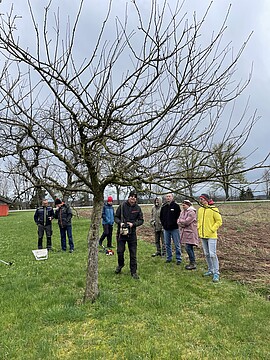 Banner Praxisseminar ,,Winterschnitt an Obstgehölzen"