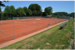 Logo TSV Tann Abteilung Tennis